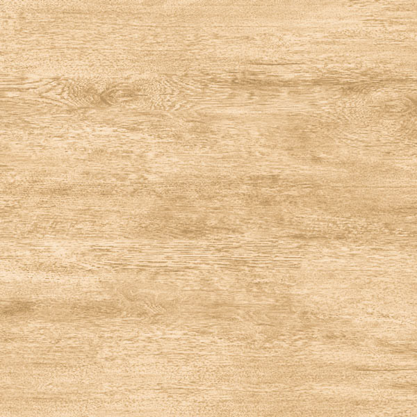 INDOGRESS 60X60 COTTONWOOD